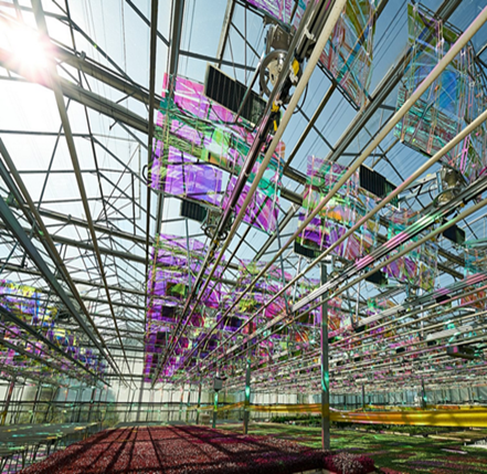 Modules solaires innovants pour serres