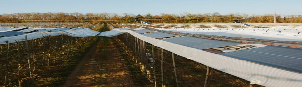 Module solaire