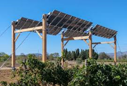 Ombrière photvoltaïque pour l’agrivoltaïsme