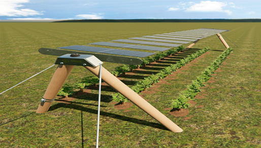 Ombrière photvoltaïque pour l’agrivoltaïsme