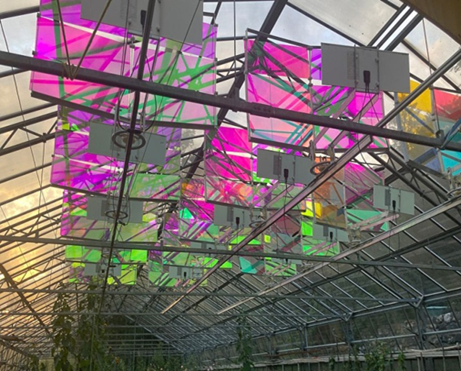Modules solaires innovants pour serres